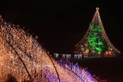 Miyagase Lakeside Area