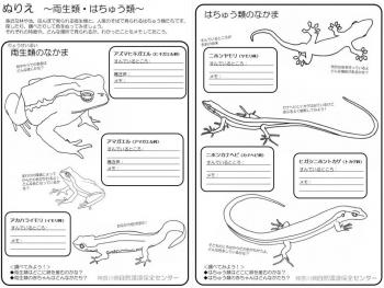 アイコン_両爬ぬりえ