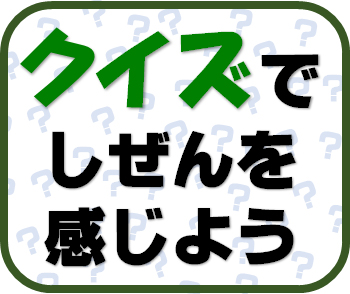 アイコン_クイズ