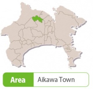 Prefectural Aikawa Park