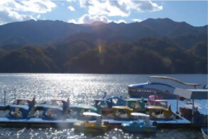 Lake Sagami Fishing Experience