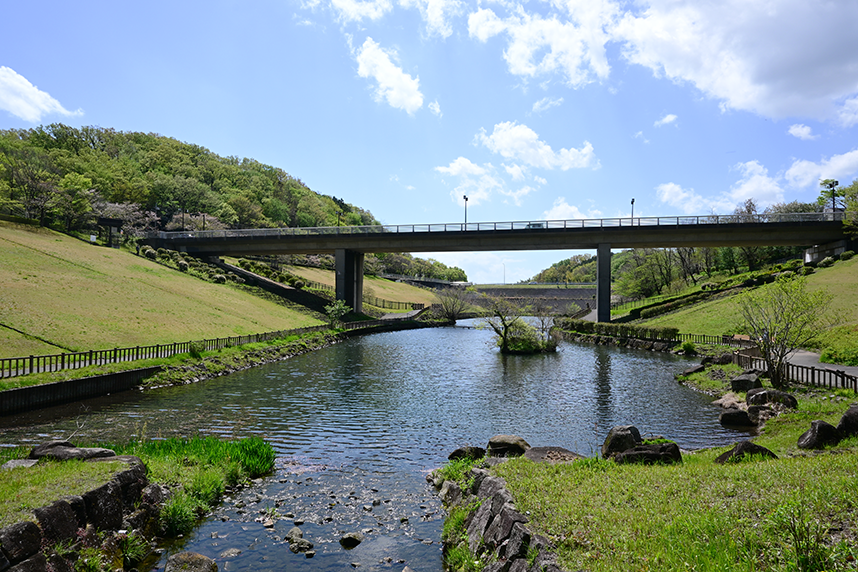 調整池の様子