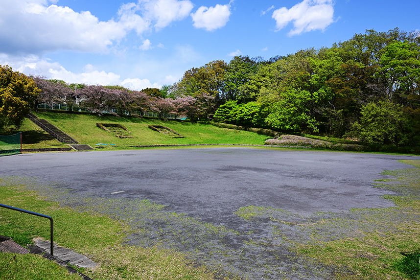 若宮公園の原っパ