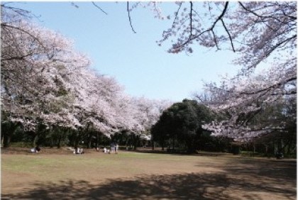 Shiroyama Park