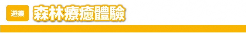 縣立七澤森林公園 森林工作室