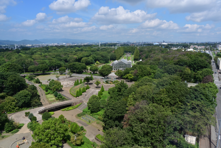 展望台からの景観