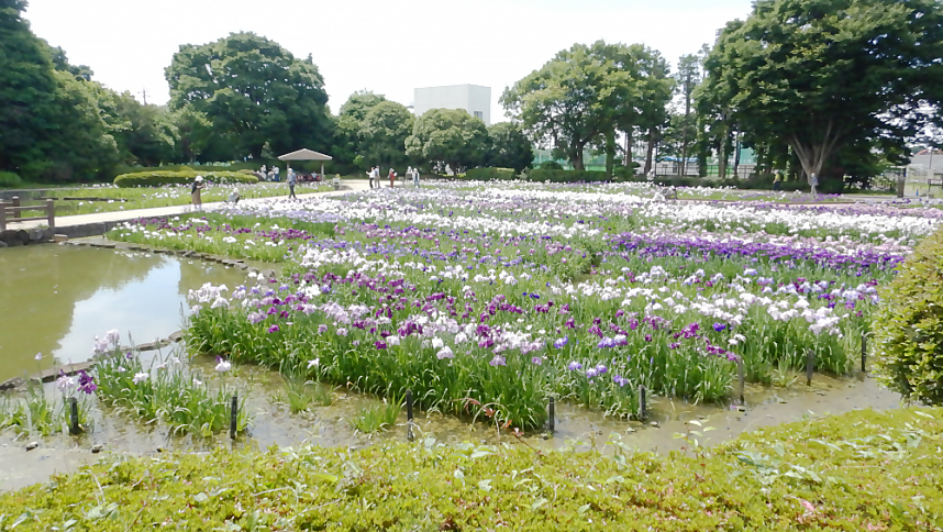 水無月園_全景