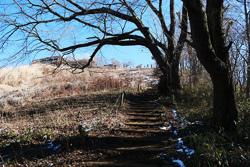 陣馬山山頂手前の風景