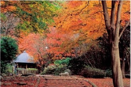Kanagawa Prefectural Nanasawa Forest Park