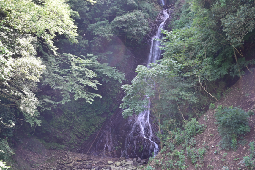 大沢の滝