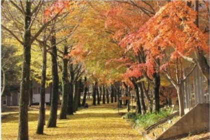 ふれあいの村の秋風景