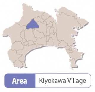 Prefectural Miyagase Yamanami Center