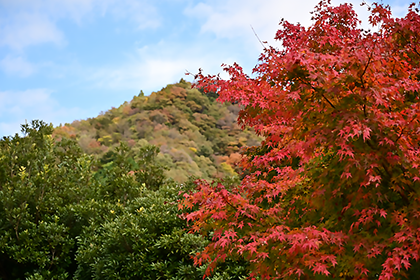秋の風景
