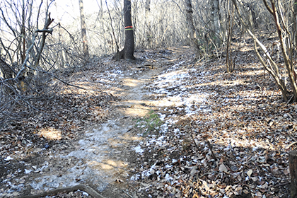 陣馬山の道の様子2