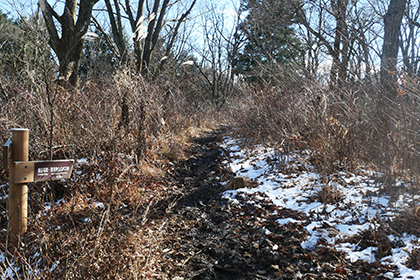 雪の残る陣馬山ハイキングコース