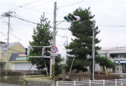 Pine trees at Nihonmatsu Intersection