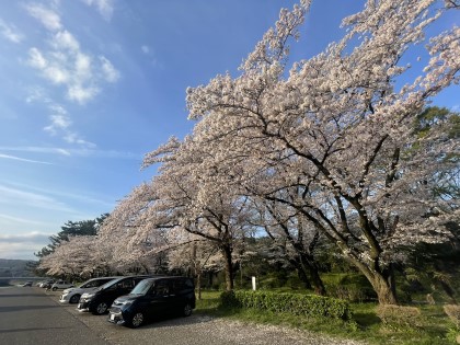 Kami-ooshima Camping Area