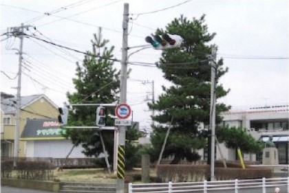 Pine trees at Nihonmatsu Intersection