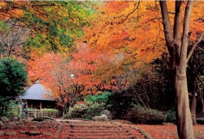 縣立七澤森林公園