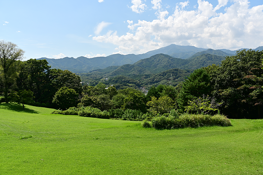 七沢森林公園おおやま広場2