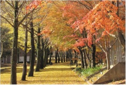 縣立愛川互動之村