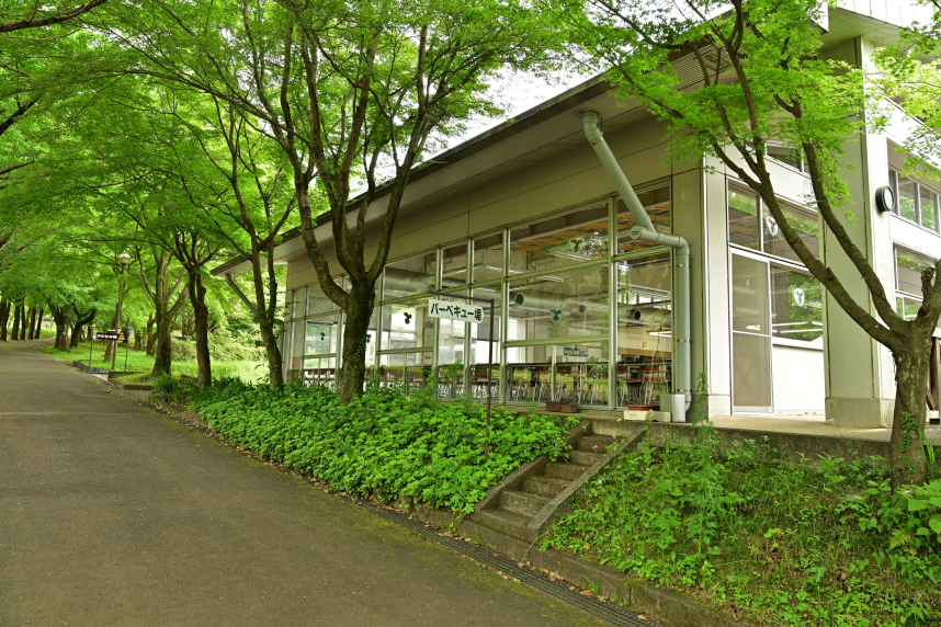 園内通路側から撮影したかわせみ棟