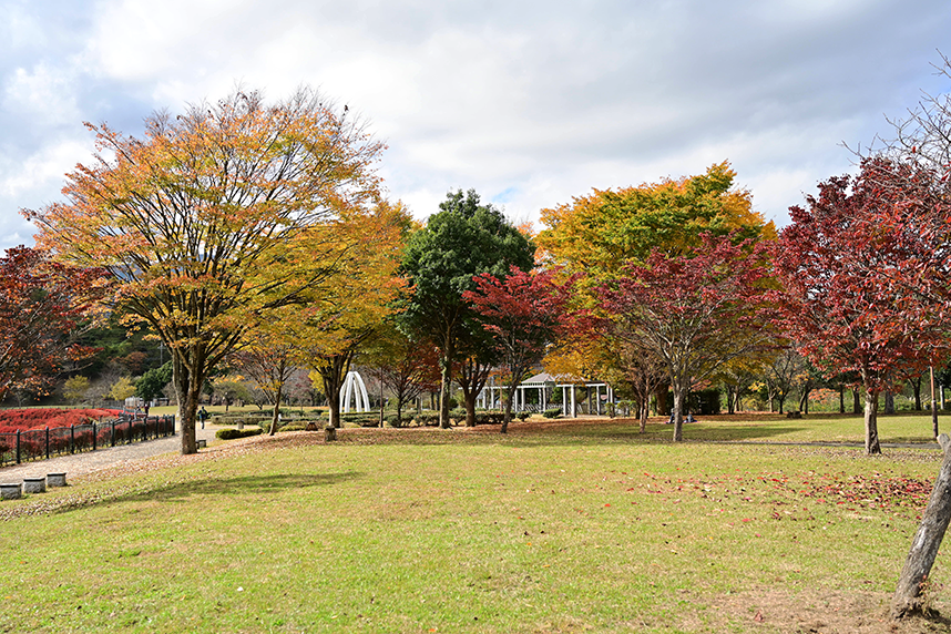 湖畔庭園の噴水を望む