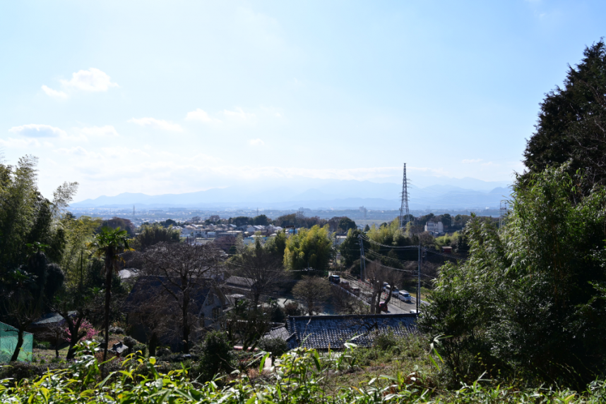 伝説の丘から見た丹沢山系