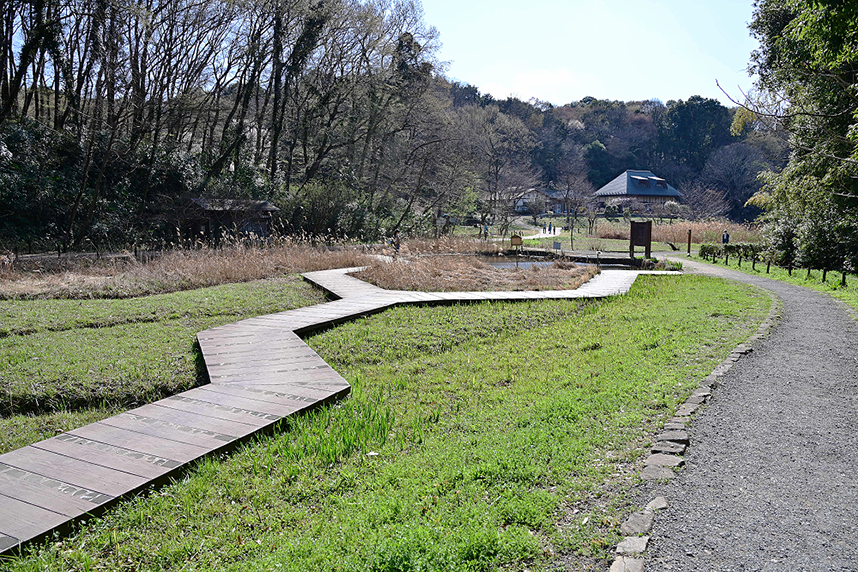 湿生生態園
