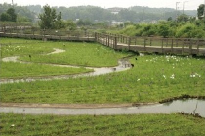 蟹之谷公園