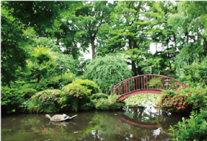 當麻山無量光寺