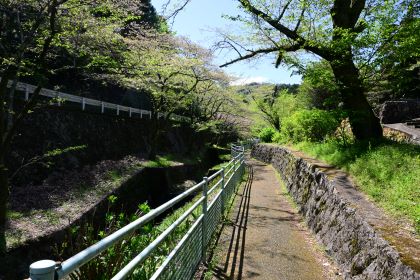長谷寺への散歩道