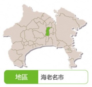 大櫸