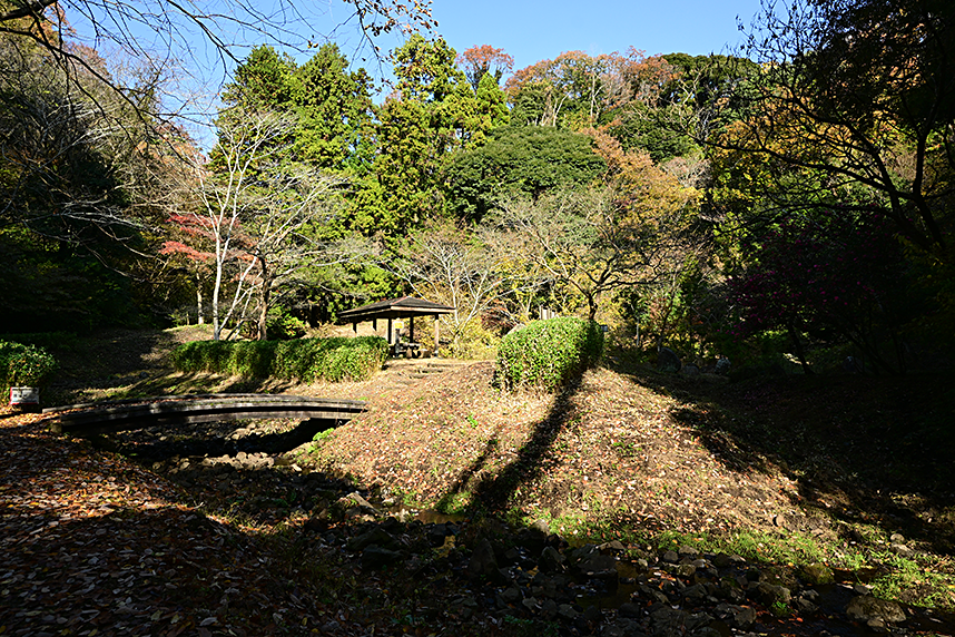トンボ池から山頂へ向かう入口