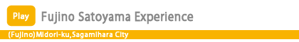 Fujino Satoyama Experience