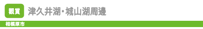 津久井湖・城山湖周邊