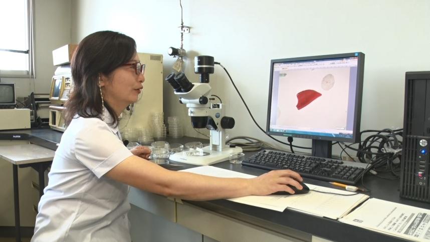 プロフィール（環境科学センター）