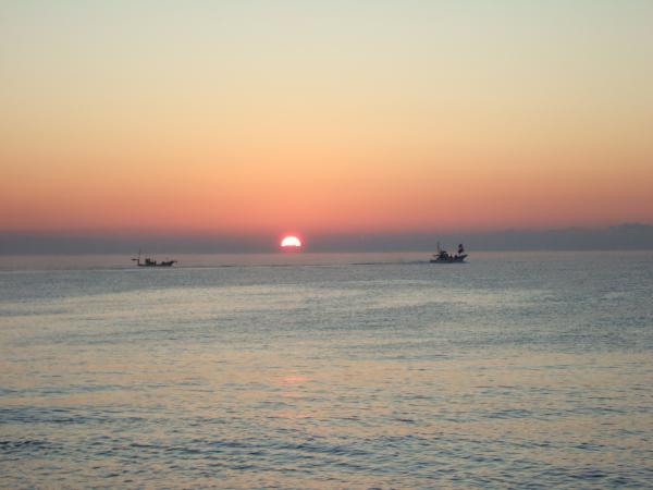 海岸の写真7