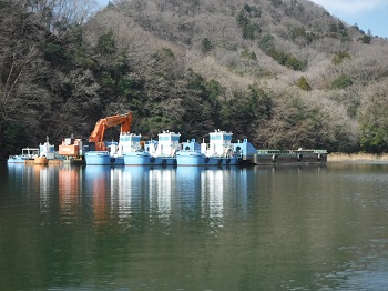 青田近景