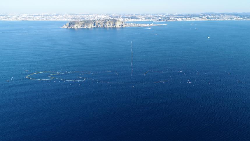 写真：江ノ島沖の定置網
