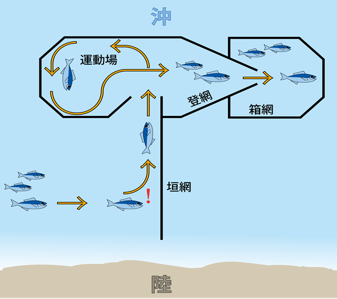 画像：定置網の構造