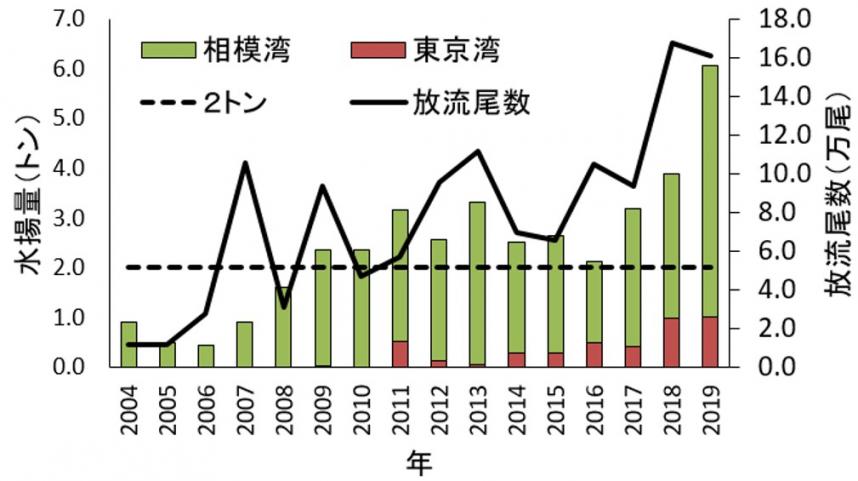 グラフ：水揚げ量と放流尾数