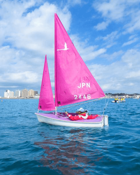 ピンクのヨット、海でのセーリングの様子
