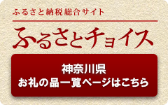 ふるさとチョイスはここから