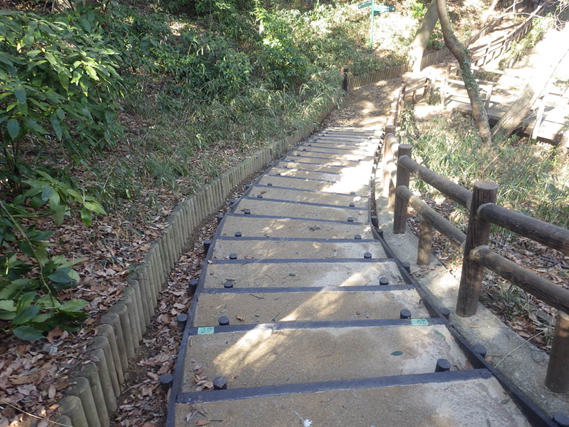 東高根森林公園公園整備工事