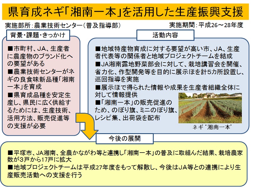 県育成ネギ「湘南一本」を活用した生産振興支援 - 神奈川県ホームページ