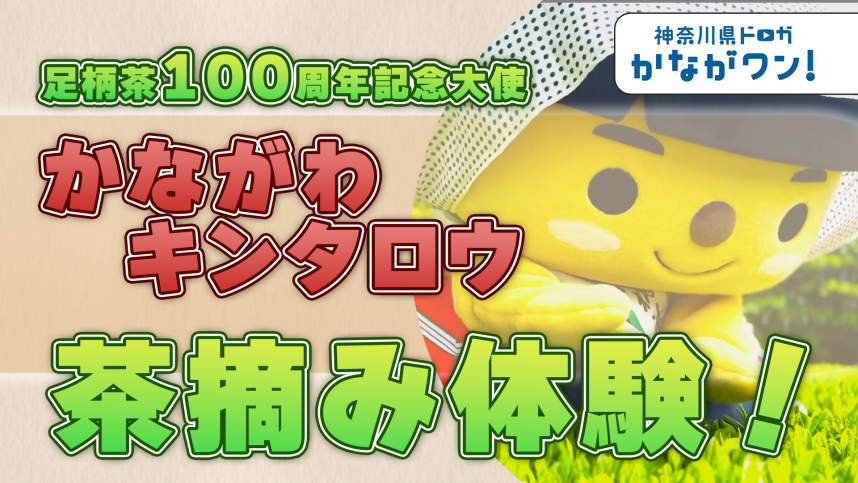 お茶