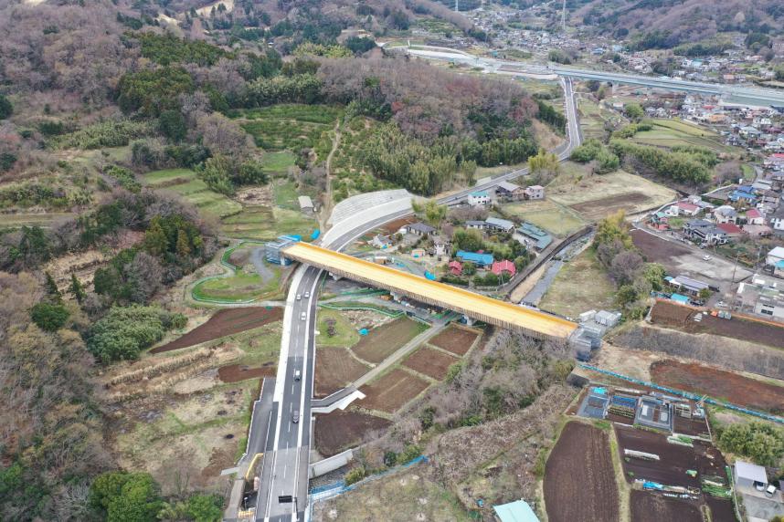 大山バイパス全景