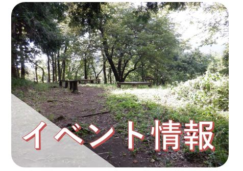 イベント情報