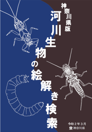 神奈川県版河川生物の絵解き検索表紙